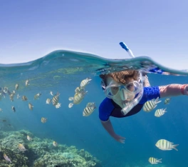 Bambin fa snorkelling a Marsa Alam, cairo e marsa alam 
