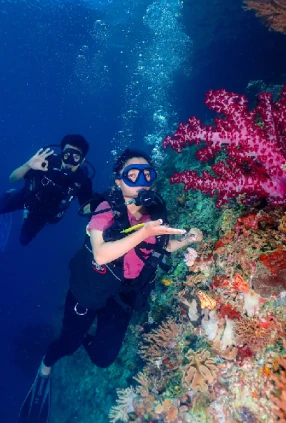 le meraviglie di Raja Ampat