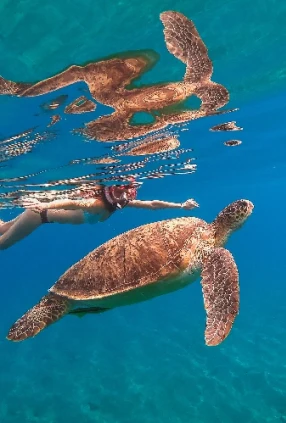 Crociera sul Nilo e Marsa alam