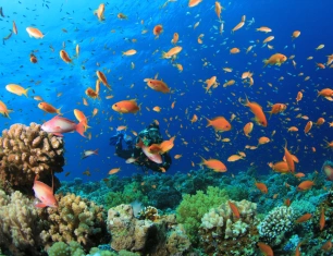 Egypt Vacation Package