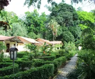 Ecolodge Bukit Lawang