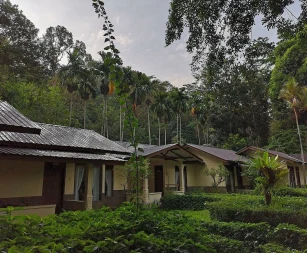 Ecolodge Bukit Lawang Cottages 