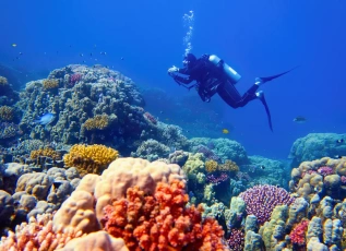 Egypt Vacation: 12-Day Cairo, Nile Cruise & Hurghada Package