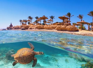 Mejores Viajes a Egipto en 10 Días: El Cairo, Nilo y Hurghada