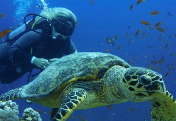 Viagem Egito Com Cruzeiro Nilo, Roteiro de Viagem Pelo Egito