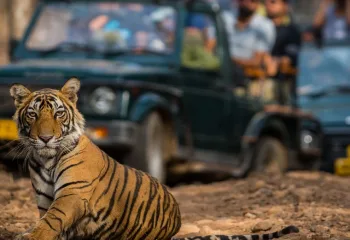 Pacote Viagem Para Índia, Roteiro Viagem Índia