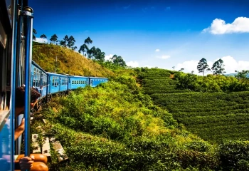 Viagem Para Índia Pacote