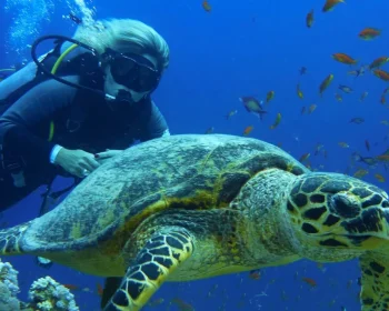 Tour di 10 giorni al Cairo, crociera sul Nilo e Hurghada | Tour in Egitto
