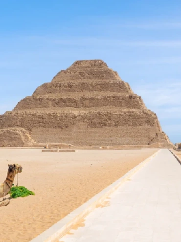 You Should See Things when visiting Japan