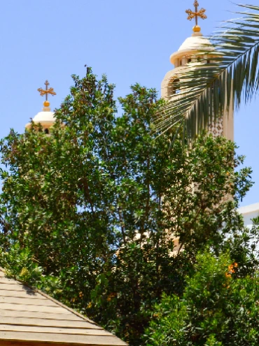 una iglesia entre los árboles