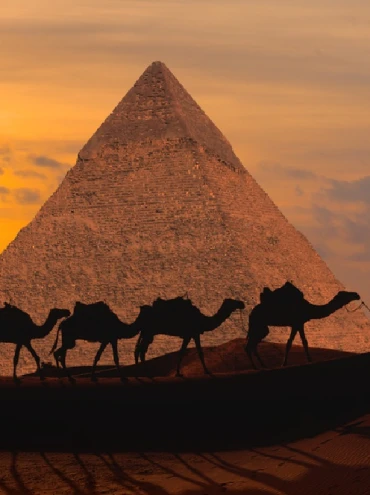 You Should See Things when visiting Japan