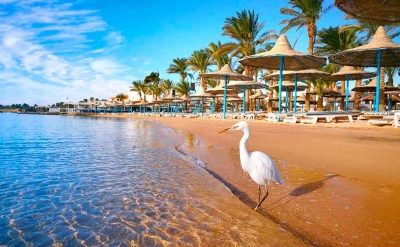 Red Sea and Cairo Vacation Tour