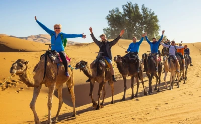 Travelers ride camels across the golden sand dunes of Merzouga Desert.
