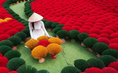 Vietnamese girl in a white áo dài with drying incense in Hanoi.