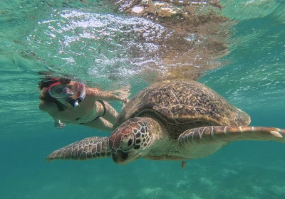 Mare in Egitto | Dove Andare al Mare in Egitto | Tour Egitto