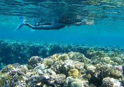 marsa alam o hurghada marsa alam o hurghada