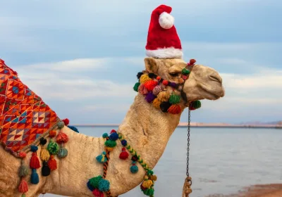 Tour Egitto a Natale | Capodanno in Egitto Offerte | Tour Egitto