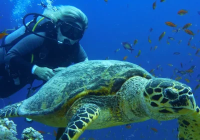 Hurghada Piramidi | Cairo e Mar Rosso | Tour Egitto