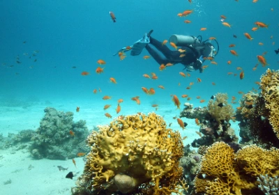 uomo in immersione a sharm el sheikh, crociera sul nilo e sharm el-sheikh