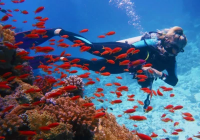 pasqua in egitto 2025