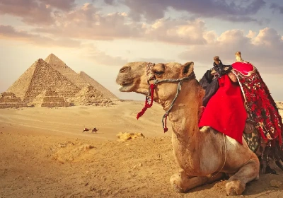 Cammello nelle piramidi, Offerte Egitto Pasqua
