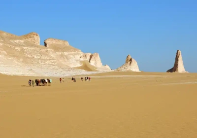 il deserto bianco, tour oasi egitto    
