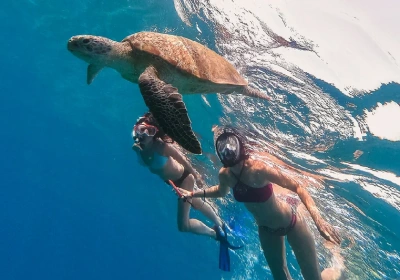 snorkeling a marsa alam, cairo e marsa alam