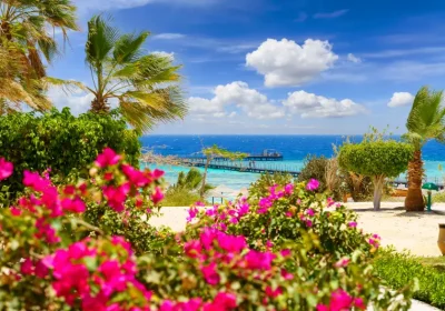 Marsa Alam Egitto | Guida di Viaggio | Tour Egitto