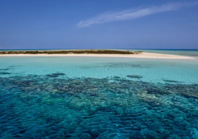 Berenice Egitto | Berenice Mar Rosso | Tour Egitto