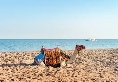 Safaga Egitto | Safaga Mar Rosso | Tour Egitto