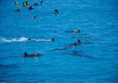 marsa alam baia dei delfini