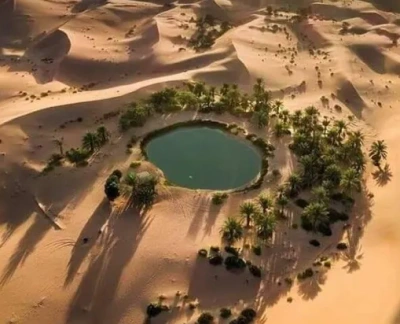 Bahariya Oasis Egypt: Complete Travel & Visitor Guide