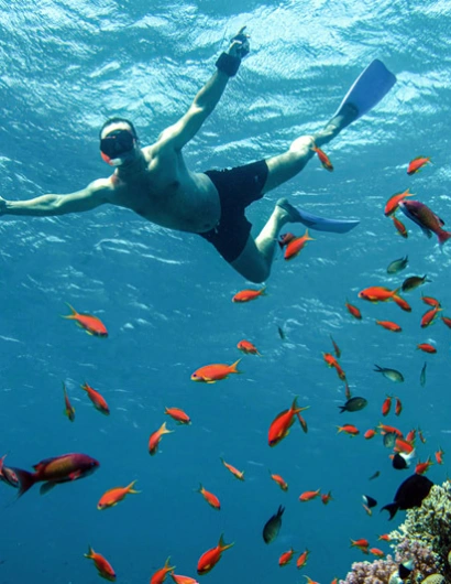 Immersioni mar rosso, un uomo fa snorkeling a hurghada