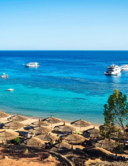 Cose da fare a Sharm El Sheikh, Mare cristallino