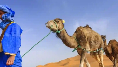 turiste con i cammelli ,Offerta Viaggio Marrakech e Deserto Agafay 4 Giorni