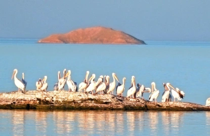 lago Nasser