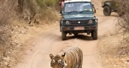 Ranthambore