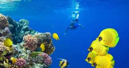 Dahab