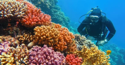 Viaggio Egitto Piramidi e Mare