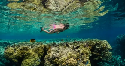 Sharm El Luli Snorkeling Sharm El Luli Snorkeling