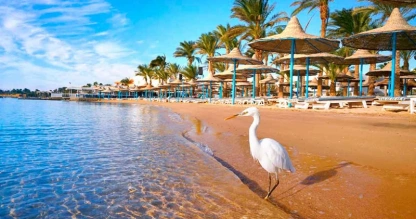 Red Sea and Cairo Vacation Tour