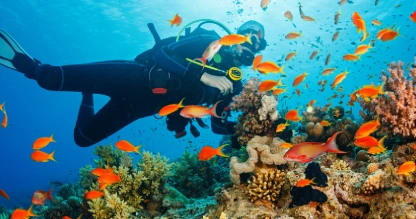 Buceador explorando arrecife de coral con peces tropicales en el Mar Rojo
