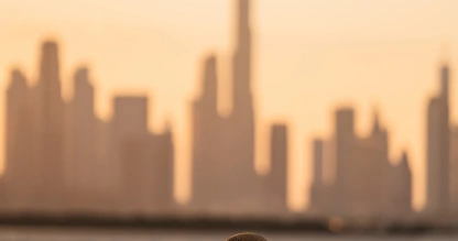 Dubái. Viaje a Dubai y Egipto 