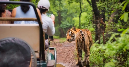 Ranthambore