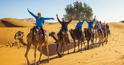Travelers ride camels across the golden sand dunes of Merzouga Desert.