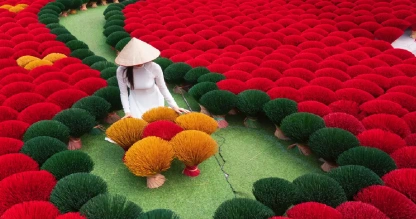 Vietnamese girl in a white áo dài with drying incense in Hanoi.