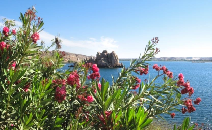 Nassersee in Assuan, Ägypten.