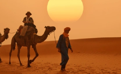 Kamelkarawane in der Sahara.