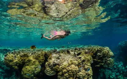 Sharm El Luli Snorkeling