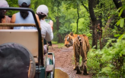 Ranthambore